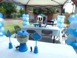 Disney Frozen Party Decorations