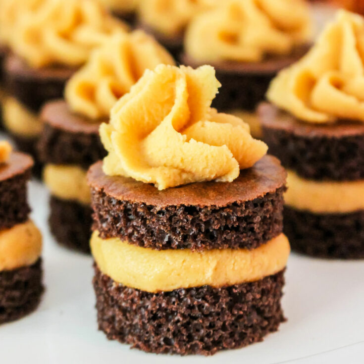 Chocolate Cake Bites with Peanut Butter Frosting