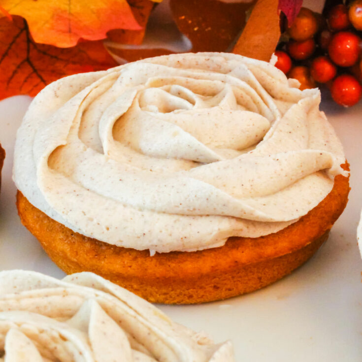 https://www.twosisterscrafting.com/wp-content/uploads/2015/09/pumpkin-mini-cakes-1200-featured-735x735.jpg