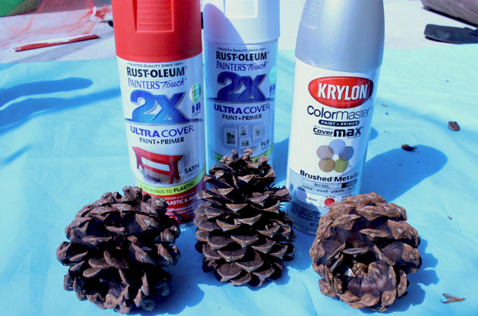 DIY Painted Pine Cones Two Sisters   Diy Painted Pine Cones Supplies 