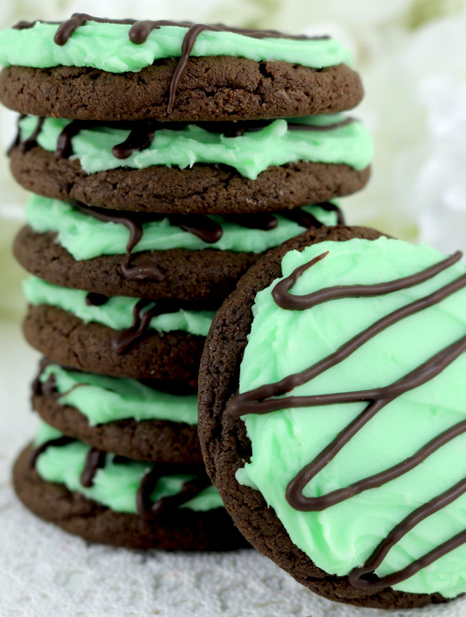 Mint choco and cocoa cookie - tastevalue