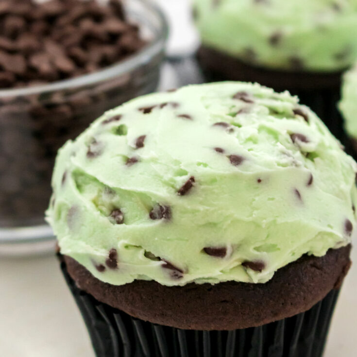 Mint Chocolate Chip Buttercream Frosting