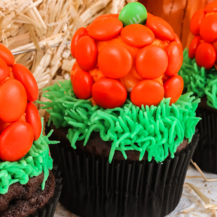 Pumpkin Patch Cupcakes