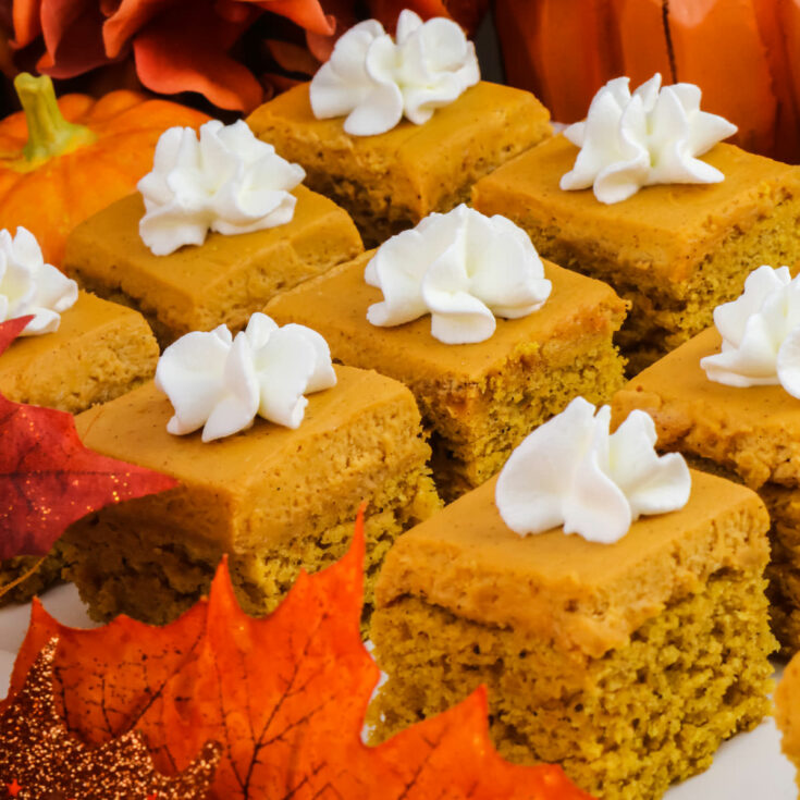 Pumpkin Spice Cake Bites