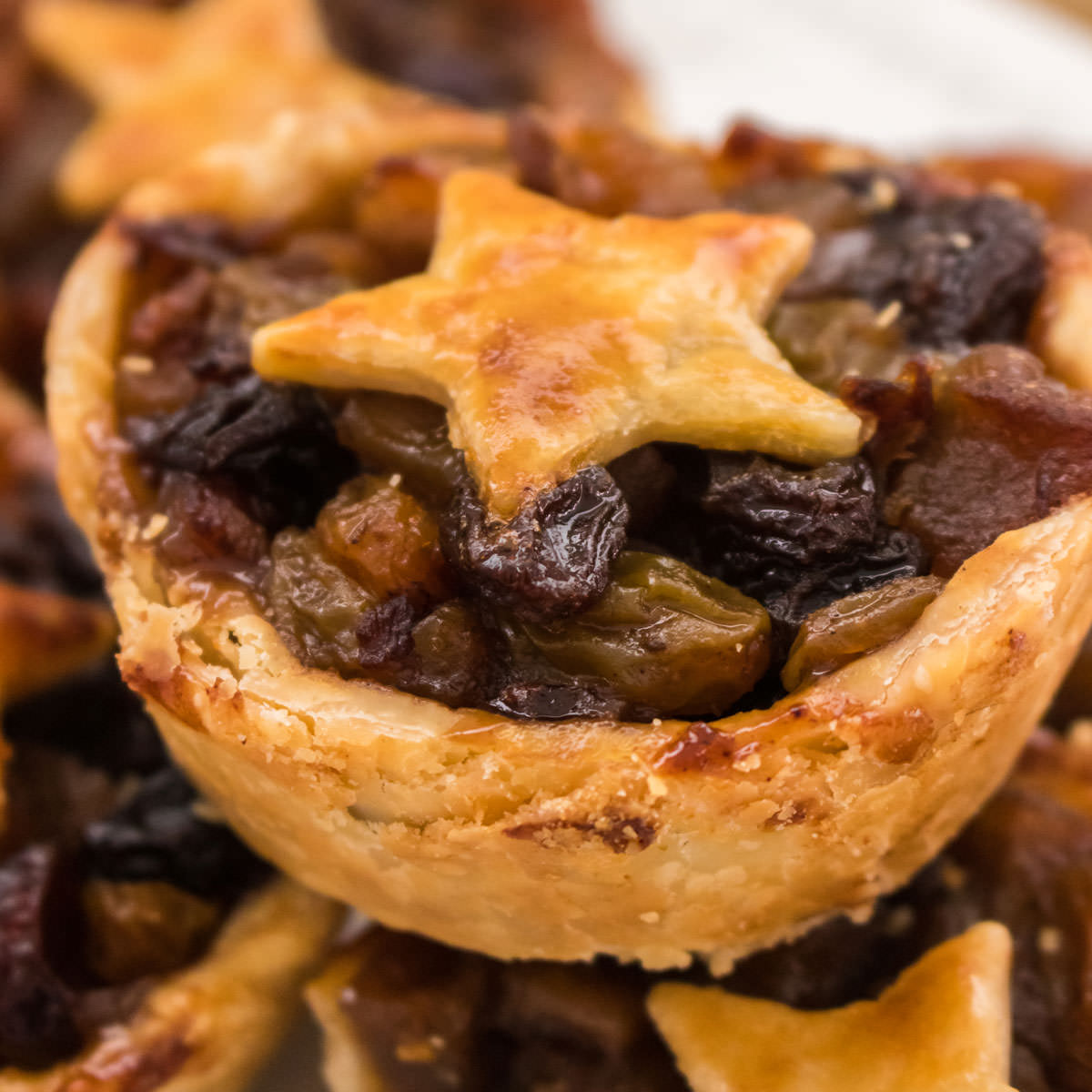 Modern Mincemeat Pie