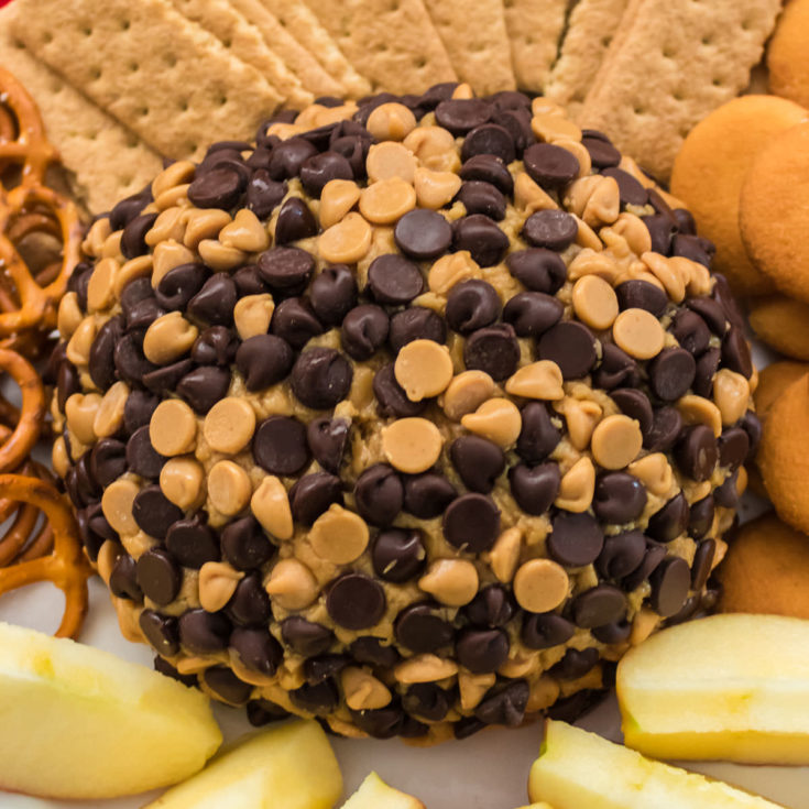 Peanut Butter Cheese Ball