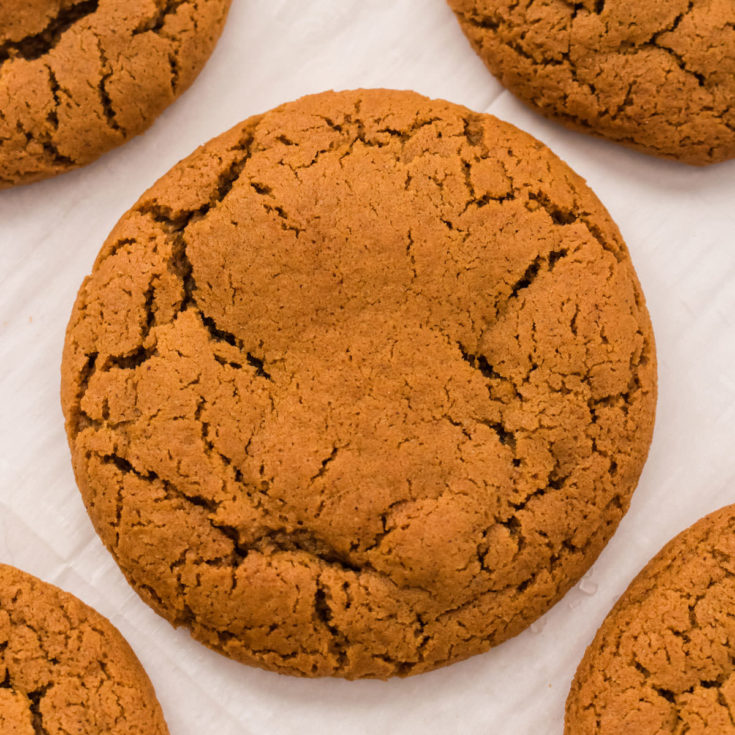 Soft Molasses Cookies