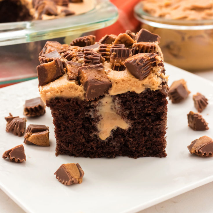 Chocolate Jello Pudding Pie {No Bake Dessert!} | It Is a Keeper